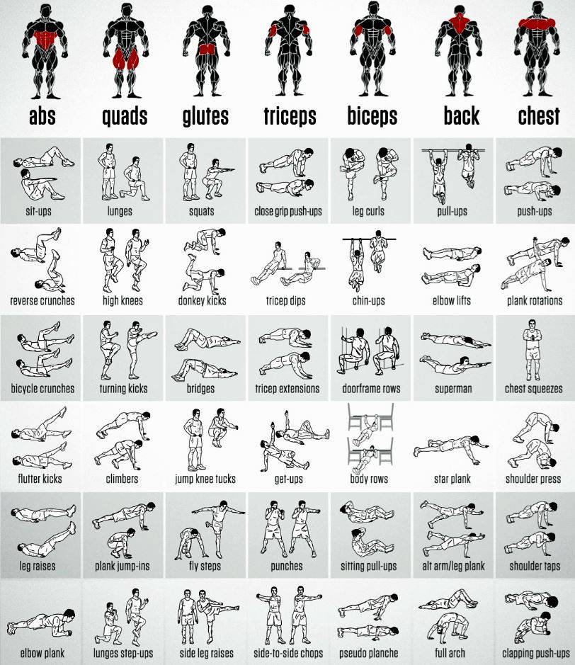 Упражнения в домашних условиях: комплекс на все группы мышц