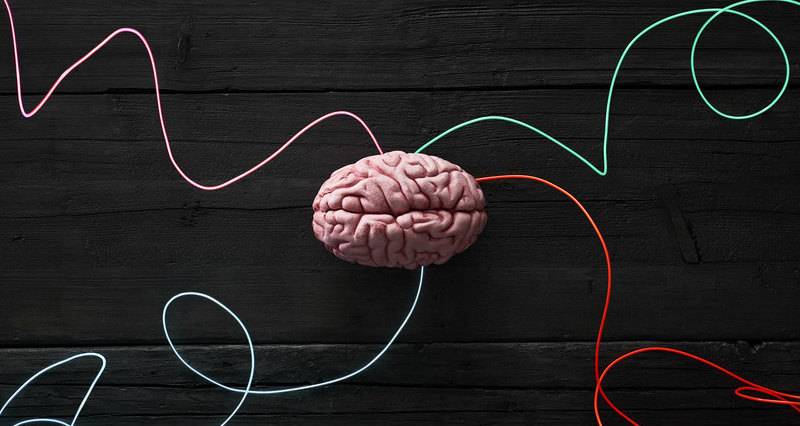 Нейромышечная связь с мозгом — как она влияет на эффективность тренировки?