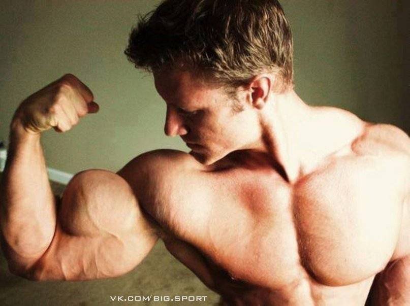 Почему не растут мышцы? | musclefit