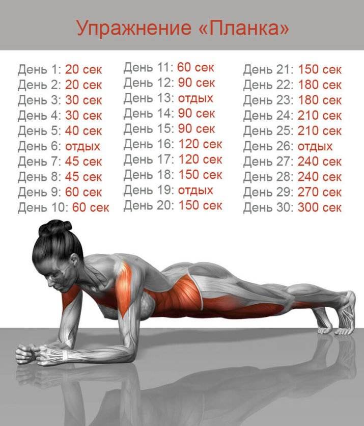 Планка упражнение на 30 дней график для мужчин и женщин