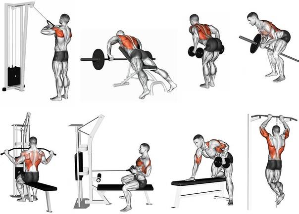8 тренировочных программ на спину. • bodybuilding & fitness