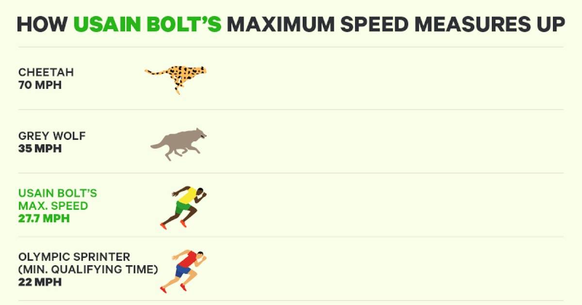 Скорость бега человека средняя, максимальная, рекордная, скорость на определенных дистанциях и для оздоровительного бега