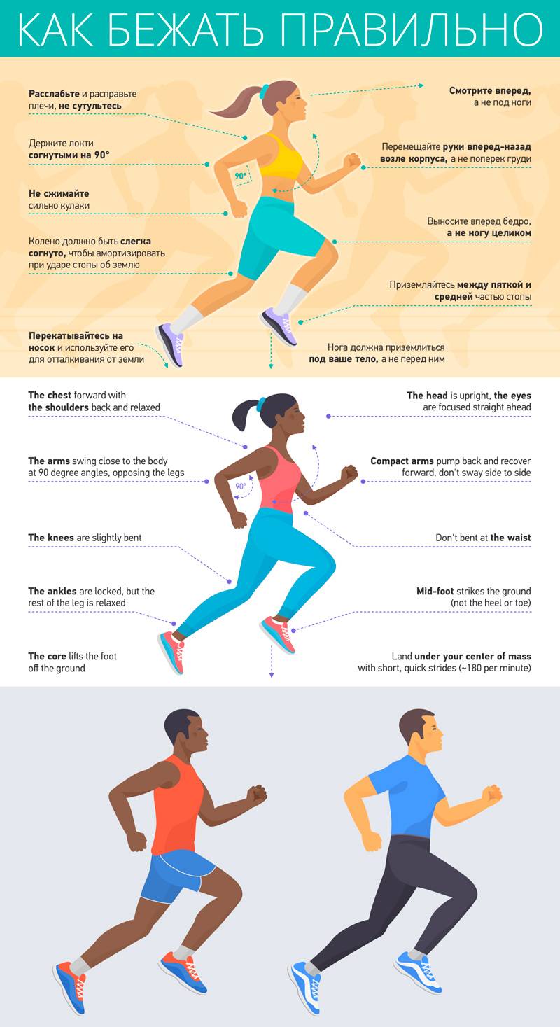 Программа тренировок бега для похудения —  сколько нужно бегать и отзывы