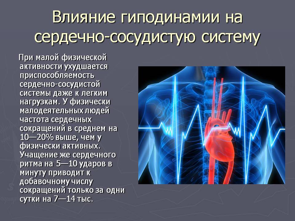 Влияние физических нагрузок на сердечно сосудистую систему проект