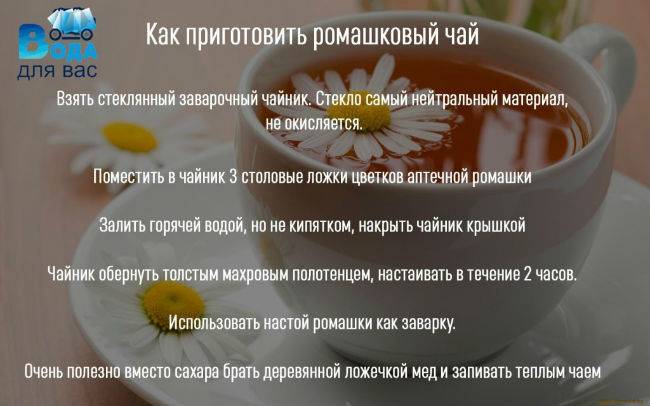Ромашковый чай: польза и свойства. как принимать ромашковый чай?