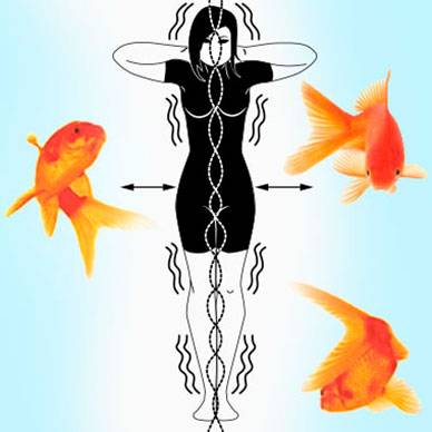 Упражнение на восстановление позвоночника «золотая рыбка»