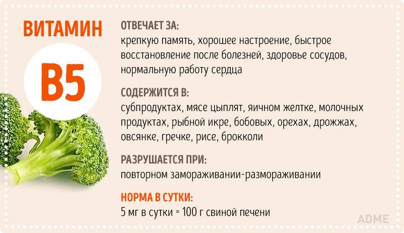 Витамины группы b (b1, b2, b3, b5, b6, b9, b12): польза и вред