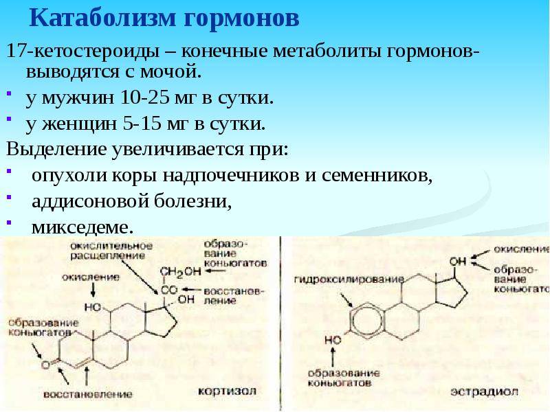 Гормон кортизол презентация