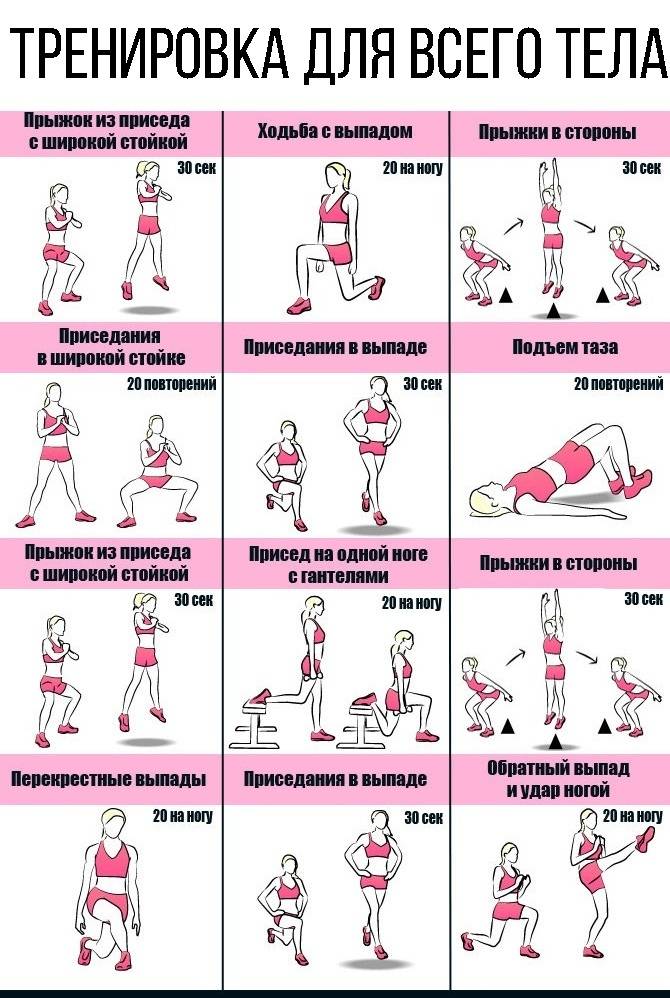 Тренировка дома для девушек на все тело и группы мышц: комплексы силовых и не только упражнений, чтобы составить программу (план занятий спортом) женщине на неделю-месяц
