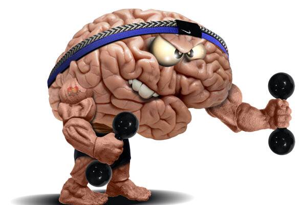 Связь «мозг-мышцы»: как тренироваться эффективно?