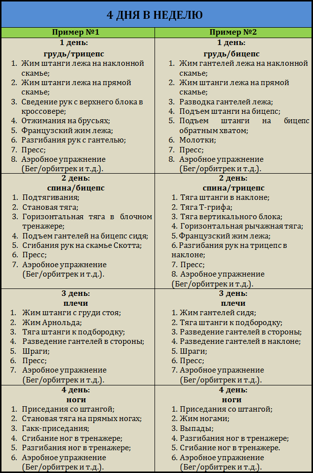 Программа тренировок для начинающих мужчин в тренажерном зале