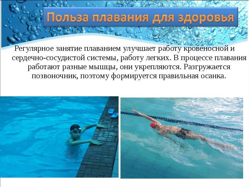 Польза плавания для здоровья человека: 10 преимуществ плавания