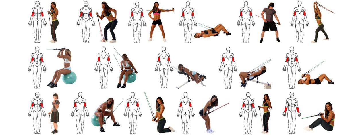 Упражнения с эспандером, преимущества, какие мышцы прорабатываются