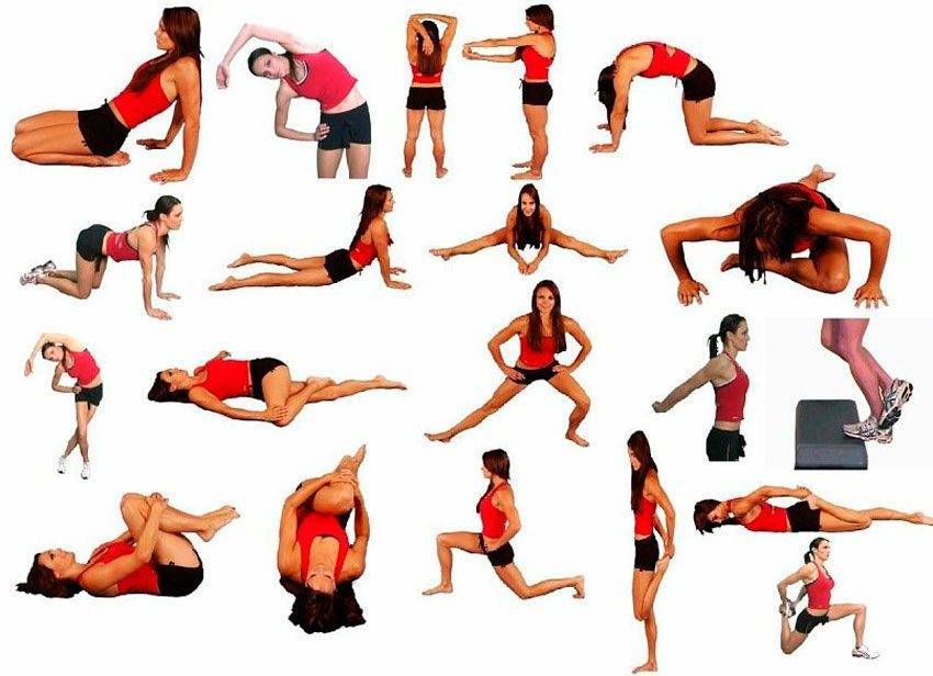 Стречинг: самые лучшие и полезные упражнения для растяжки мышц всего тела