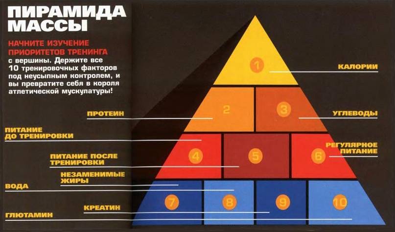 Пирамида в бодибилдинге: суть,виды, особенности, схемы тренировок
