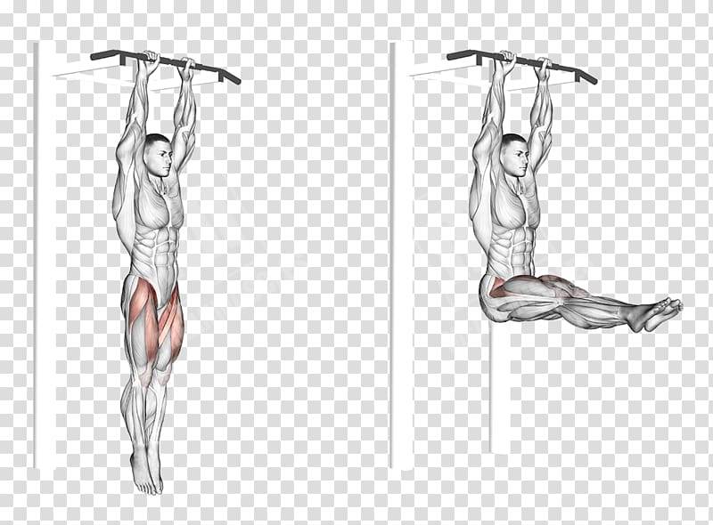 Подъем ног в висе - качаем три мышцы пресса одновременно