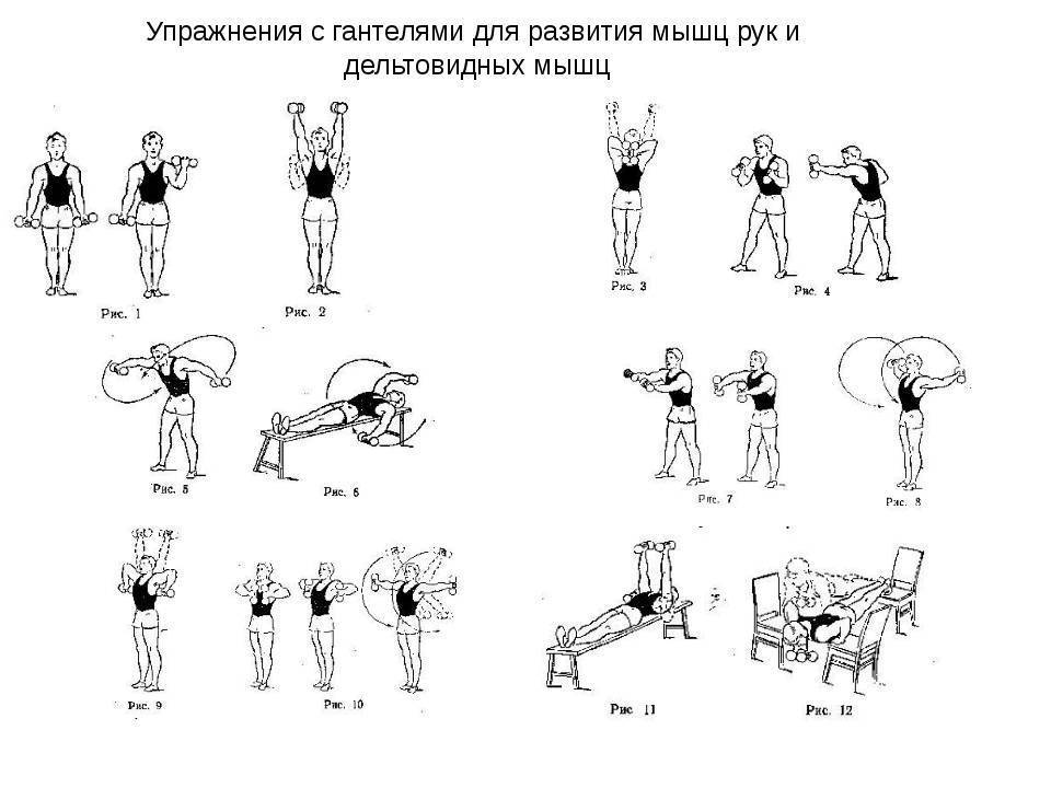 Программа тренировок на всё тело с гантелями, комплекс упражнений в домашних условиях