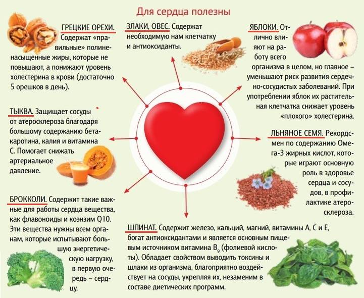Правильное питание для сердца и мозга: 4 совета и список продуктов. какая еда полезна для сердца