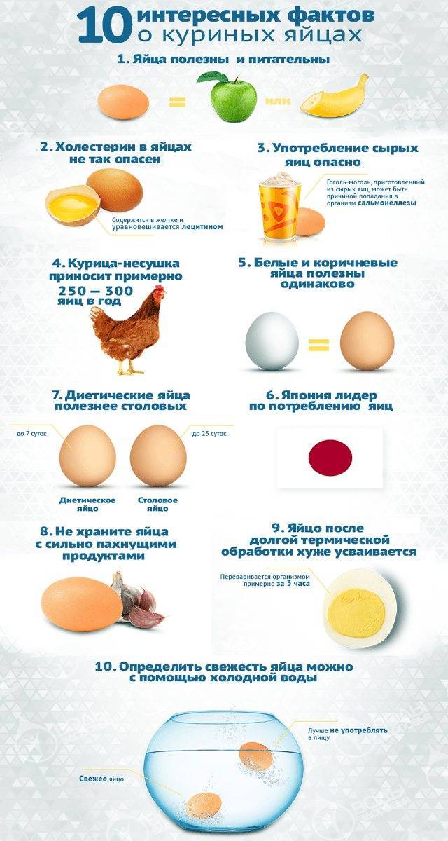 Холестерин и перепелиные яйца: можно ли есть, сколько содержит