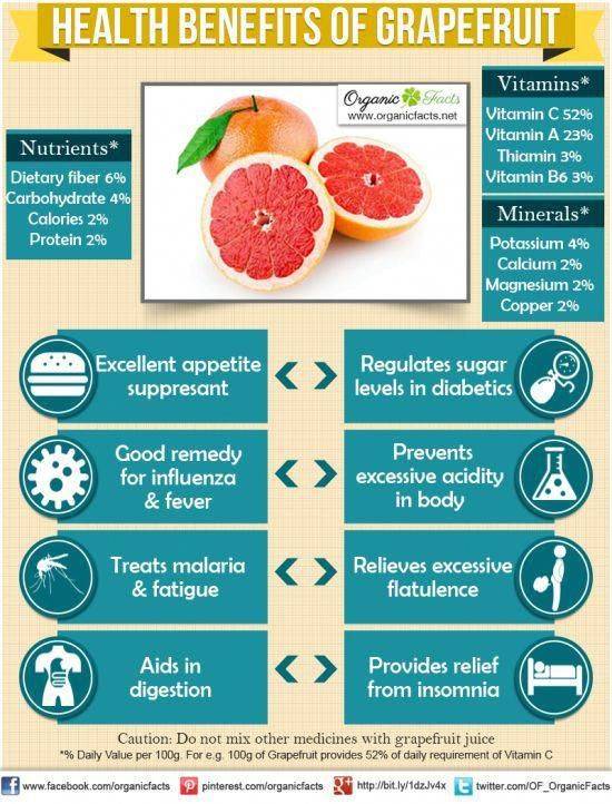 Грейпфрут для похудения: польза и вред, как и когда есть, рецепты