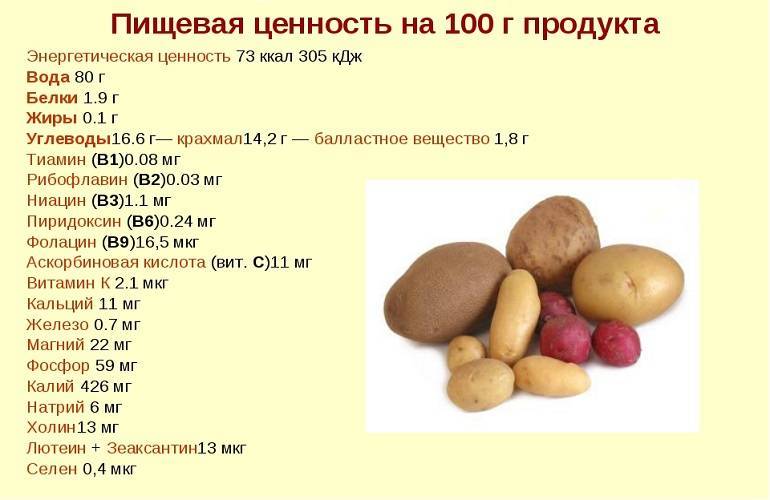 Сколько калорий в картофеле. картофель варёный