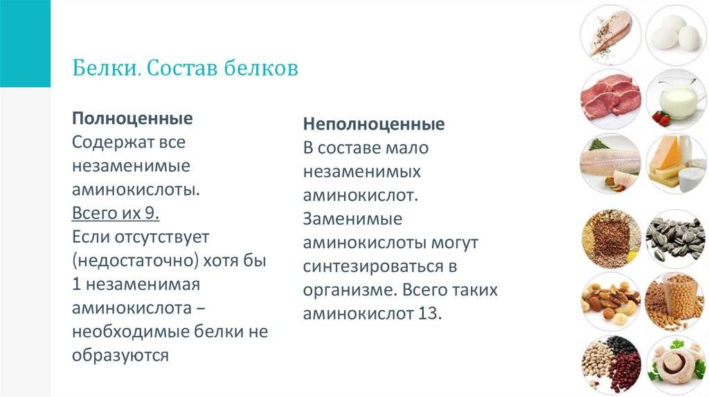 Белки полноценные