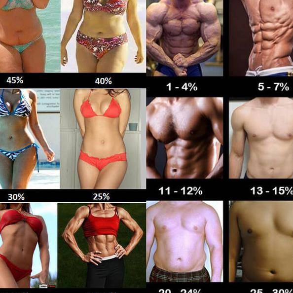 Как узнать процент жира? таблицы для мужчин и для женщин + фото