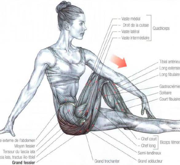 Стретчинг: упражнения для ягодичных мышц, которые избавят от целлюлита