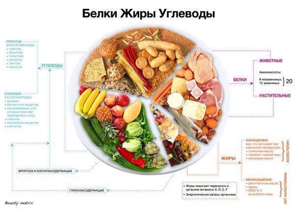 Программа питания для набора массы: калории, бжу, режим питания