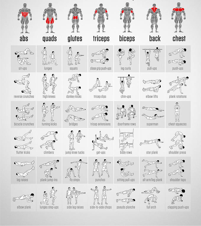 14 упражнений для комплексной домашней тренировки на все группы мышц