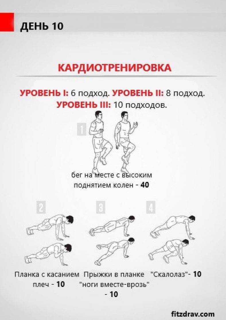 Кардио-тренировки с фитнес-резинками для похудения | luxtopfit