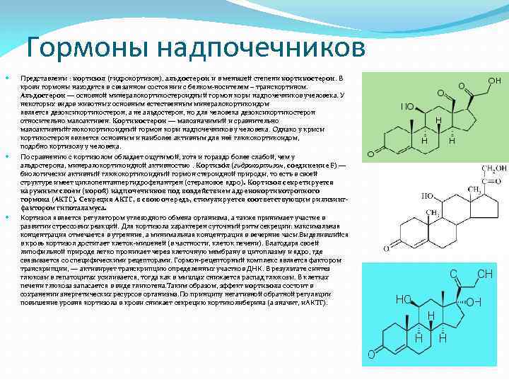 Определение кортизола у животных в ветклиниках россии