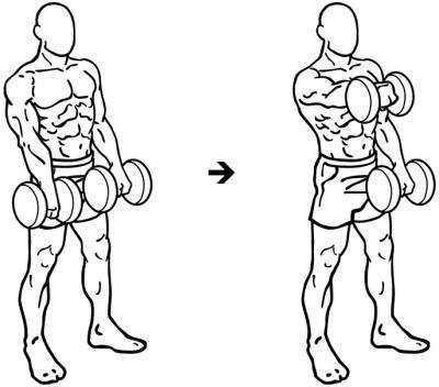 Упражнение для развития мышц рук и спины: подъём гантелей через стороны
