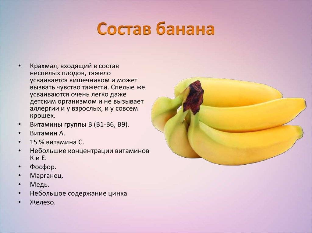 Бананы: польза и вред для организма человека, питательная ценность, калорийность и химический состав бананов
