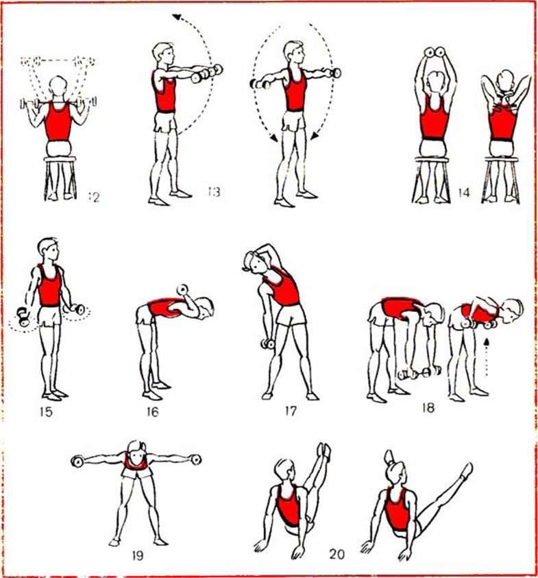 Как правильно качать руки гантелями: упражнения, программа тренировок
