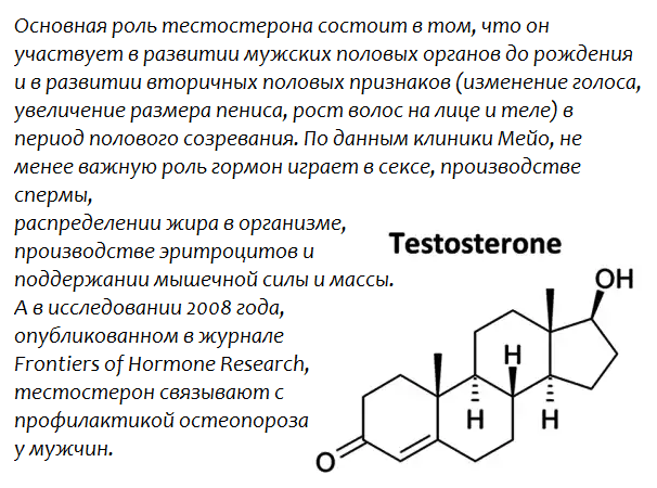 Как повысить тестостерон у мужчин быстро и безопасно