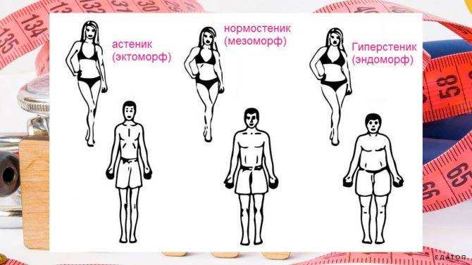 Типы телосложения мужчин и женщин: эндоморф, эктоморф, мезоморф
