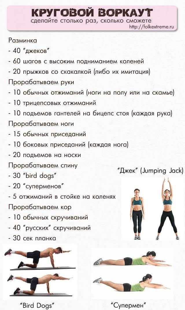 Программа тренировок для девушек для набора мышечной массы в деталях