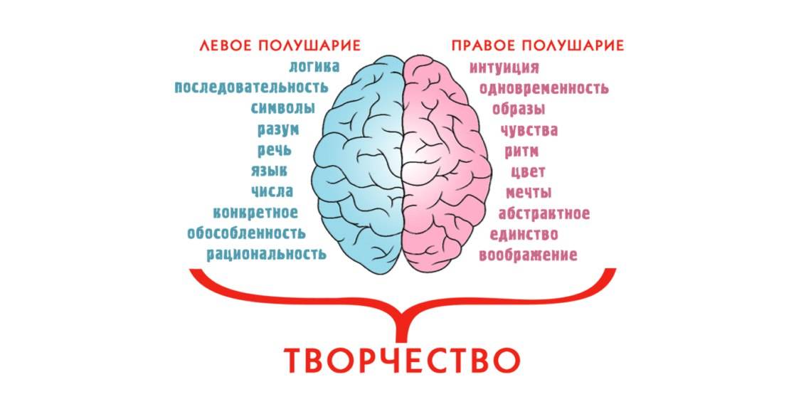 Связь мозг-мышцы. качаемся правильно.
