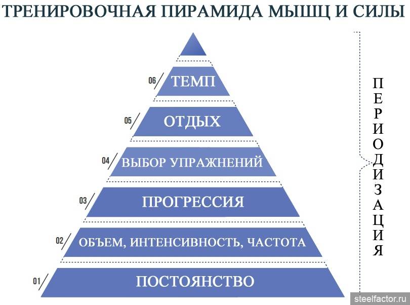 Понятие и признаки финансовых пирамид. уголовная ответственность за финансовые пирамиды - новости, статьи и обзоры