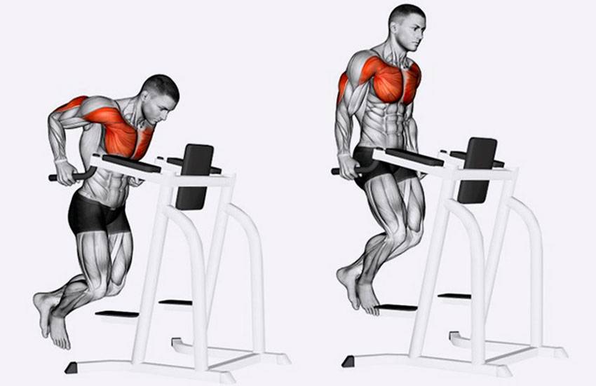 Восстановление мышц после интенсивных тренировок