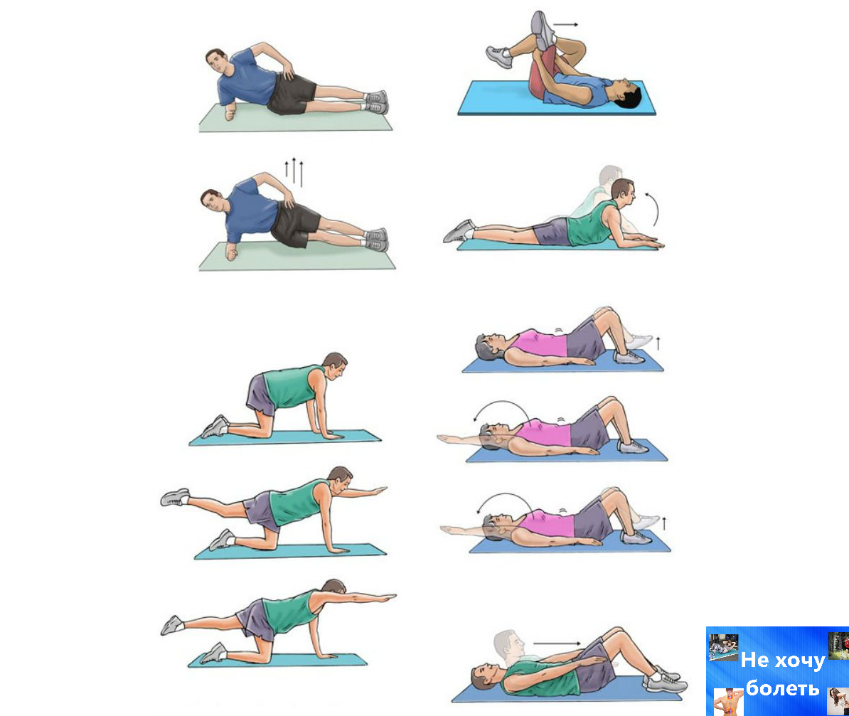 Упражнения на спину в тренажерном зале фото и видео. лучшие упражнения для укрепления спины девушки