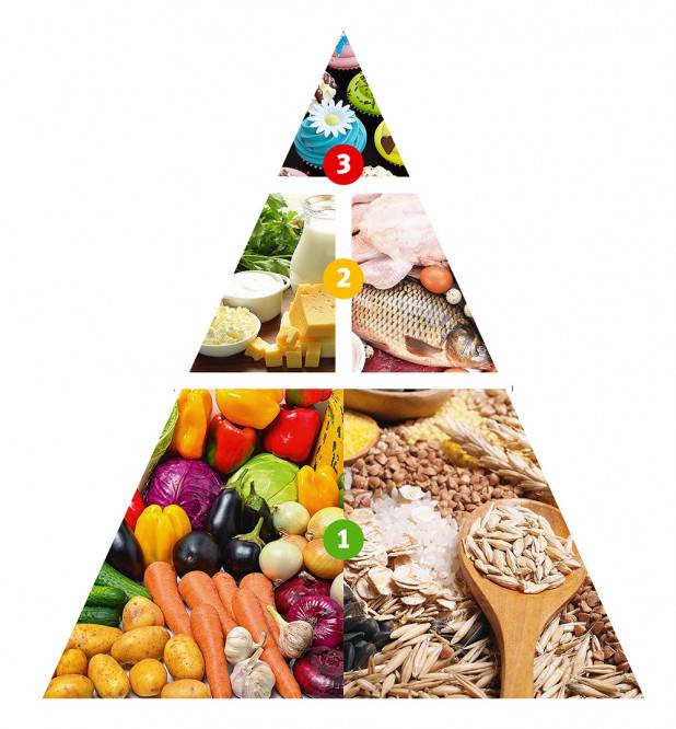 Что покупать в магазине, чтобы не остаться голодными? пирамида здорового питания