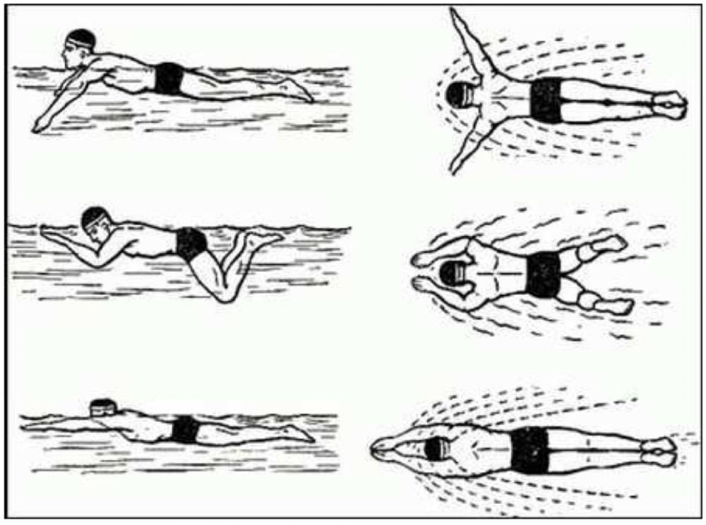 Кроль на спине: техника плавания, как правильно плавать этим способом, советы для начинающих, нюансы стиля и видео