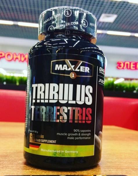 Tribulus terrestris 625 мг 100 капс (maxler) купить в москве по низкой цене – магазин спортивного питания pitprofi