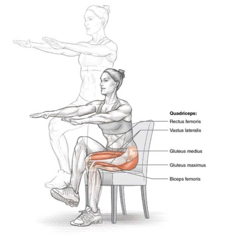 ✅ упражнение стульчик у стены отзывы. как правильно делать упражнение — стульчик у стены - sundaria.su