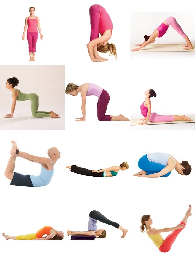 Упражнения для укрепления мышц спины и позвоночника в домашних условиях: коплекс из 20 упражнений