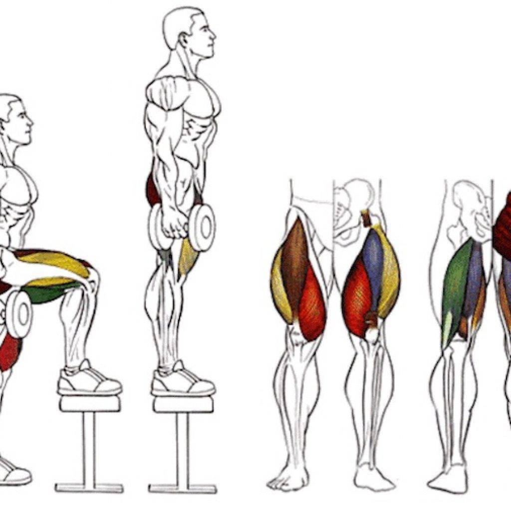 Увеличь мышцы! научно обоснованные решения для максимального мышечного роста | fpa