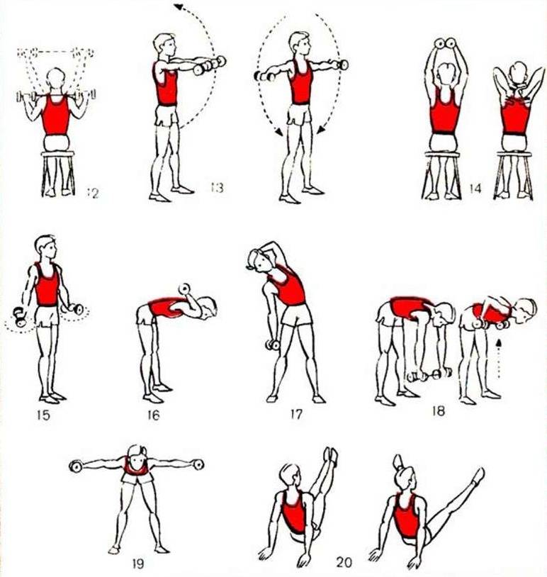 Подборка упражнения с гантелями для девушек на все группы мышц и их сочетание в комплексы