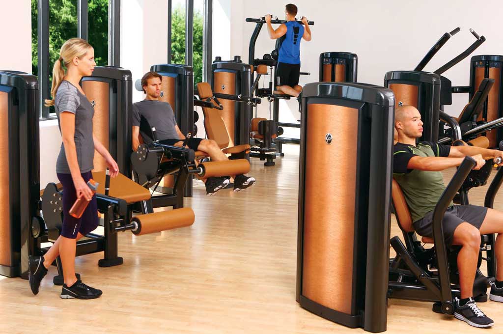 Тренажеры в спортзале: обзор видов современного оборудования, список эффективных упражнений